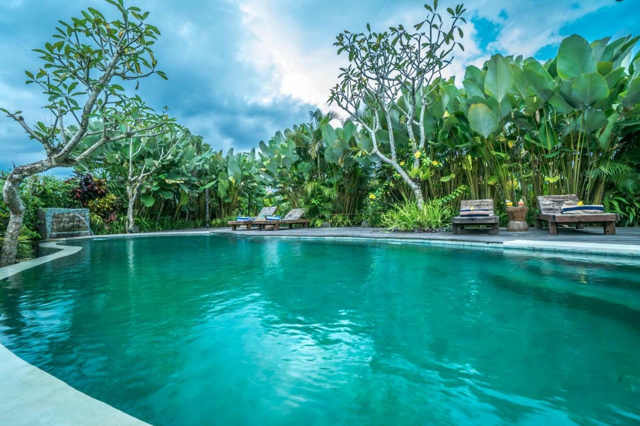 Malaya Villas Ubud Tegallalang  Εξωτερικό φωτογραφία