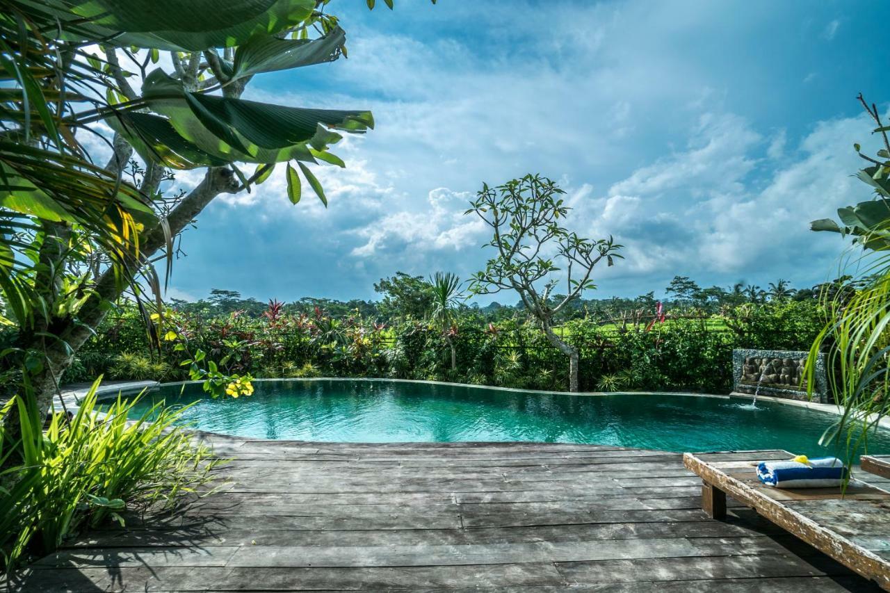 Malaya Villas Ubud Tegallalang  Εξωτερικό φωτογραφία