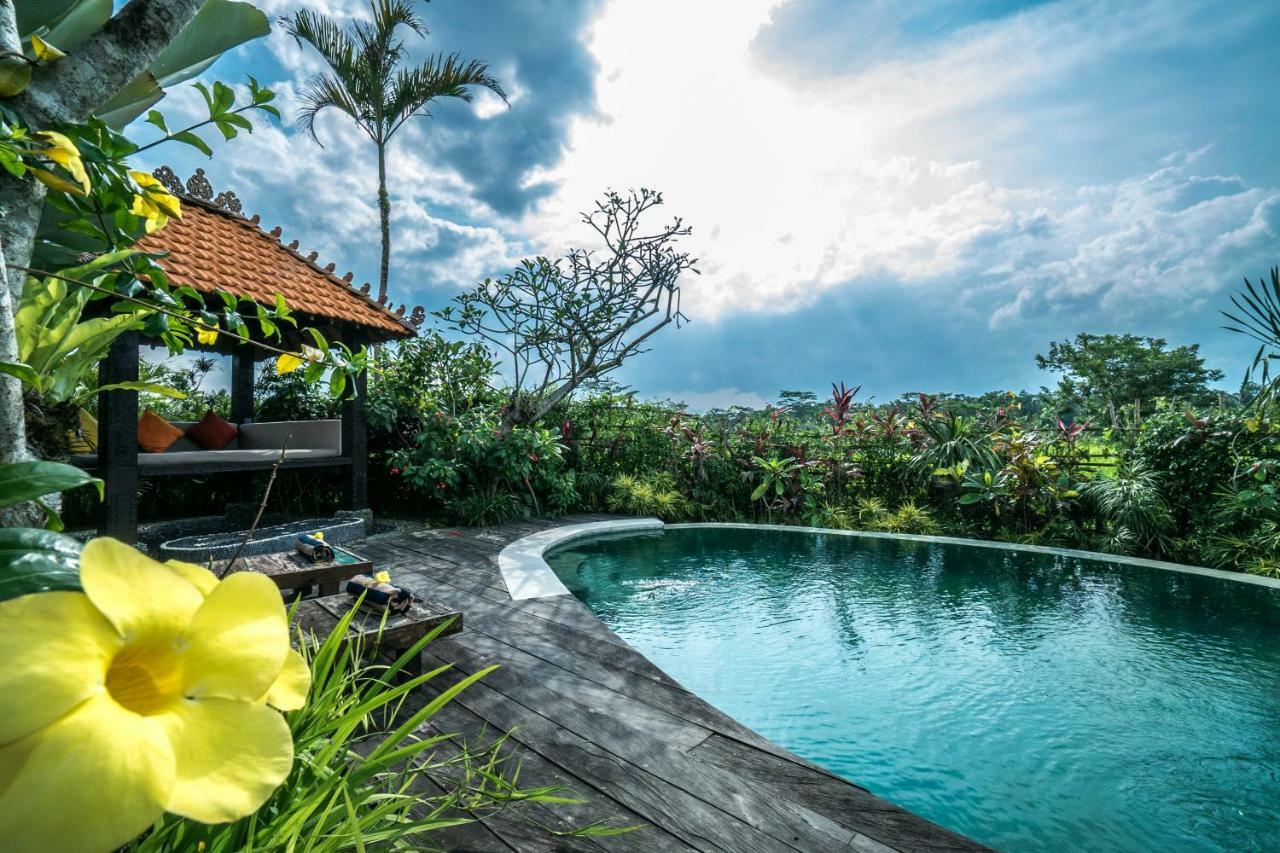 Malaya Villas Ubud Tegallalang  Εξωτερικό φωτογραφία