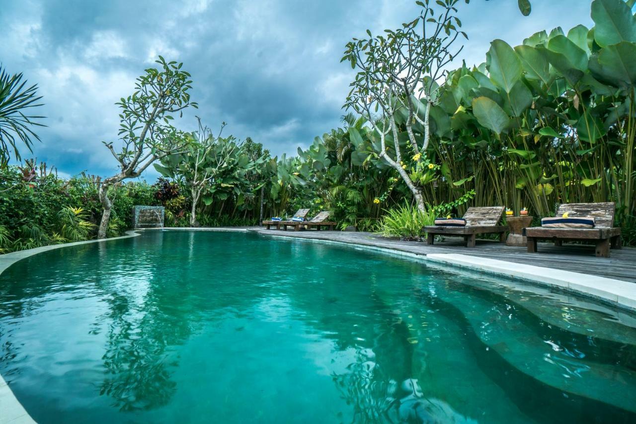 Malaya Villas Ubud Tegallalang  Εξωτερικό φωτογραφία