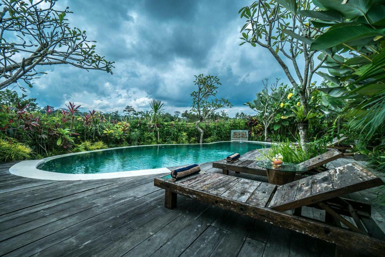 Malaya Villas Ubud Tegallalang  Εξωτερικό φωτογραφία